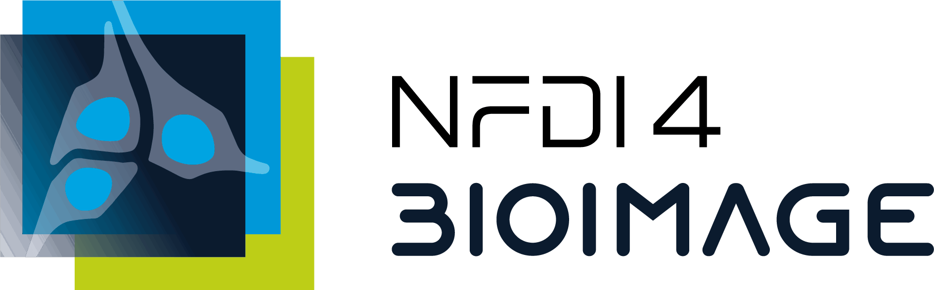 NFDI4BIOIMAGE logo